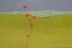 click to view painting 09NovW1.jpg 